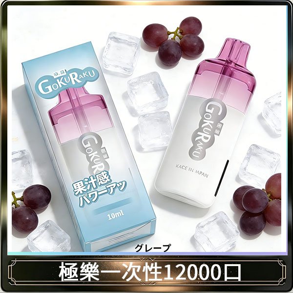 【8種口味】極楽 12000口一次性電子煙|超大容量 |口感絲滑|新品